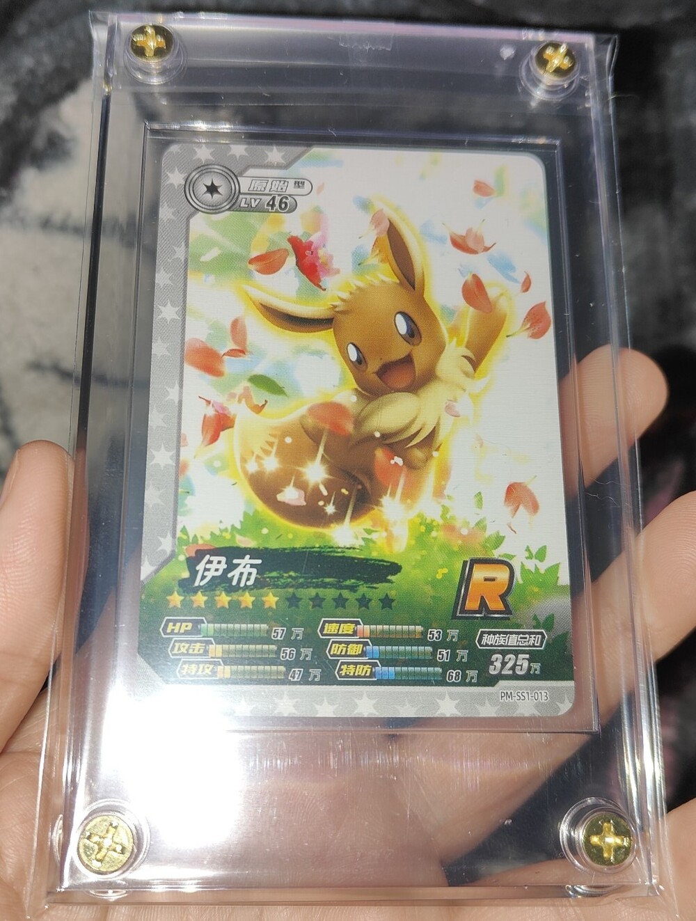 Eevee Rare non-holo encased Pokémon ID White Unofficial Card Chinese